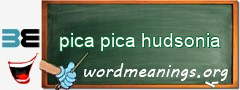 WordMeaning blackboard for pica pica hudsonia